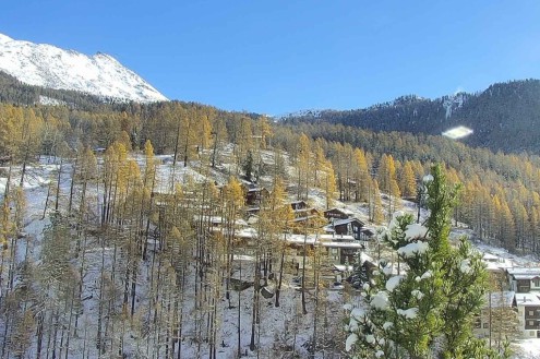 Blue skies over the tree-lined mountainside in Zermatt, Switzerland – Weather to ski – Snow forecast, 28 November 2025