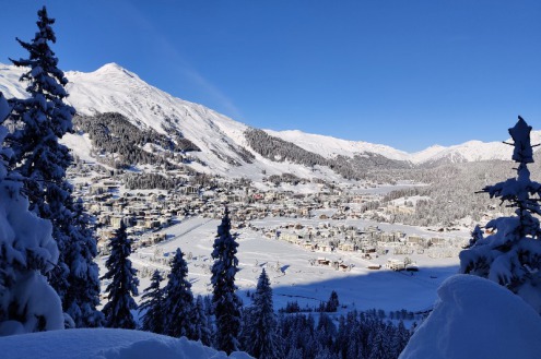 Blue skies and panoramic snowy mountain views with pine trees to the left of a snowy piste in the foreground in Davos-Klosters, Switzerland – Weather to ski – Snow forecast, 28 January 2022