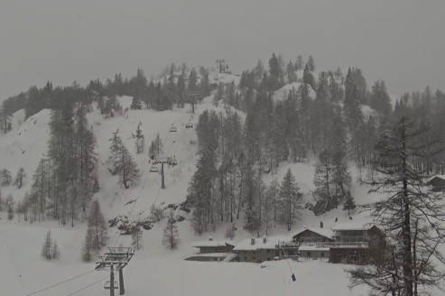 Lots of fresh snow on the ski slopes in Courmayeur, Italy – Weather to ski – Snow report, 9 January 2026