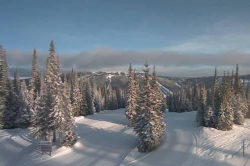 View over snow-covered slopes and forest with blue skies above in Sun Peaks Resort, Canada – Weather to ski – Snow report, 18 March 2022