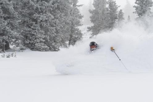 Skier in powder in Snowbird, Utah, USA – Weather to ski – Snow report, 2 February 2023