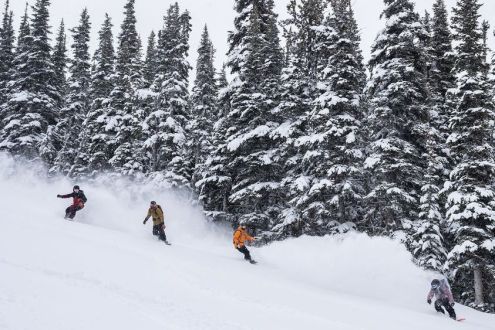 Four snowboarders in powder on the snow-covered and tree-lined slopes of Whistler, Canada – Weather to ski – Snow report, 12 January 2024