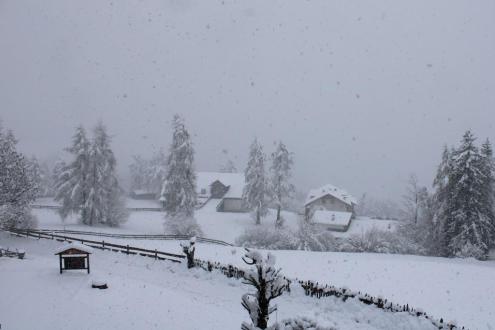 Heavy snow falling on the snow-covered slopes of Ritten in the Dolomites, with view over snow-covered trees and buildings – Weather to ski – Snow report, 23 February 2024