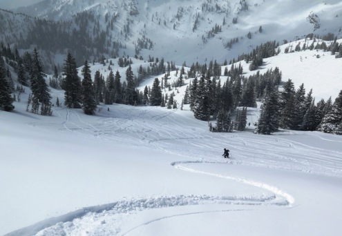 Powder skiing on 11 March 2019 in Snowbird, Utah – Weather to ski – Who got the most snow in North America in 2018-19?