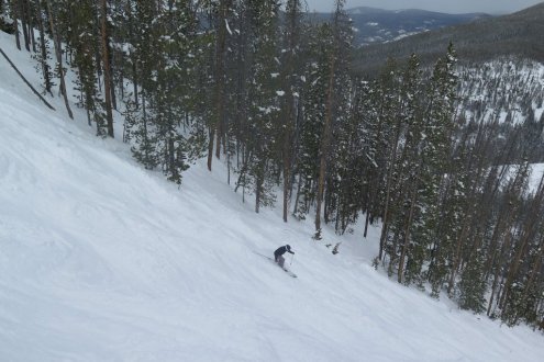 Skier on tree-lined slopes of Discovery, Montana, US Northern Rockies, March 2023 - Weather to ski – Who got the most snow in North America in 2022-23?