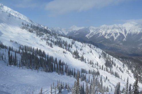Panoramic view of tree-lined slopes and the valley beyond in Fernie, Canada, February 2023 - Weather to ski – Who got the most snow in North America in 2022-23?