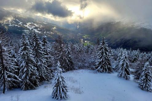Fresh snow on the trees in Les Arcs, France, with the sun breaking through the clouds, 28 March 2023 – Weather to ski – Who got the most snow in the Alps 2022-23?