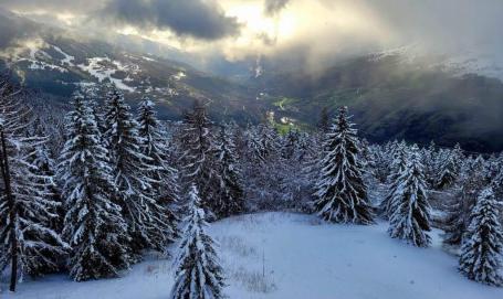 Fresh snow on the trees in Les Arcs, 28 March 2023 - Weather to ski - Who got the most snow in the Alps in 2022-23?