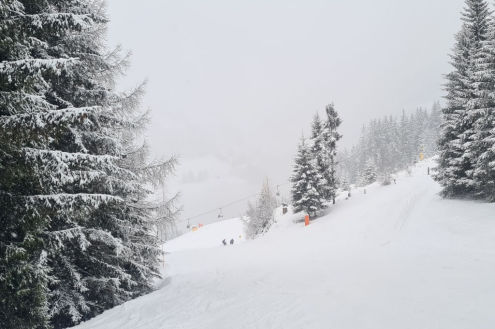 View of snow-covered trees and slopes, with snow falling on the tree-lined slopes of the Dorfgastein ski area in the Gastein valley, Austria - Weather to ski - Our blog: Bad Gastein - 5 reasons to visit this forgotten gem