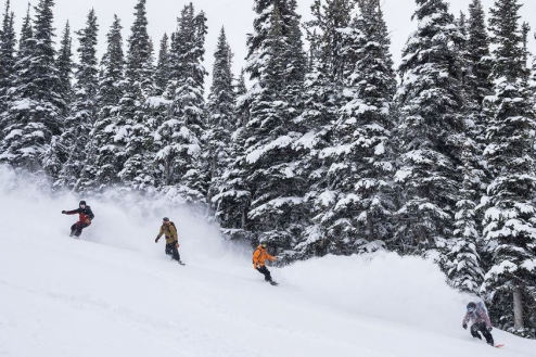 Snowboarders in powder in Whistler, Canada on 12 January 2024 – Weather to ski – Who got the most snow in North America in 2023-24?