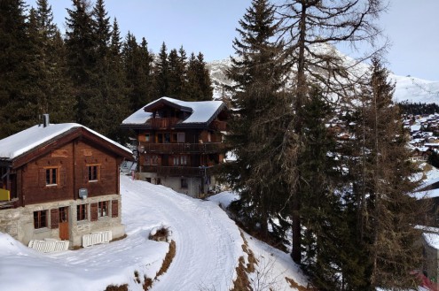 View from the Hotel Waldhaus of traditional chalets in the trees, and mountain views behind, in the Aletsch Arena, Switzerland – Link to Weather to ski's full "Today in the Alps" report on weather and snow conditions for 17 December 2025