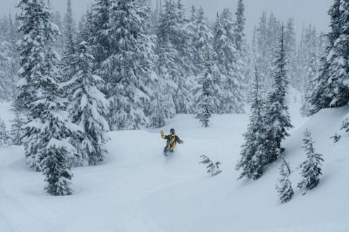 Skier skiing in powder through the trees in Whistler, Canada – Weather to ski – Snow report, 19 December 2025