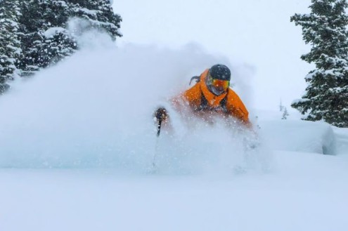Skier in powder in Lake Louise, Canada – Weather to ski – Snow report, 31 December 2025